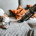 12 cách giảm ô nhiễm không khí trong nhà