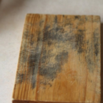 Chiếc thớt gỗ trong bếp có thể bẩn gấp 200 lần bồn cầu – nhiều nhà dùng mà không hề hay biết